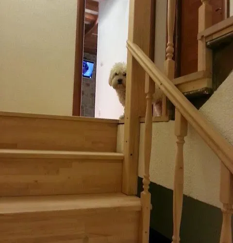 Aurelia Palace Split